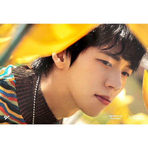 NAM WOOHYUN 1ST ALBUM 'WHITREE' POSTER ONLY BLOOM VERSION COVER