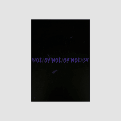 STRAY KIDS 2ND ALBUM 'NOEASY' (STANDARD) B TYPE VERSION COVER