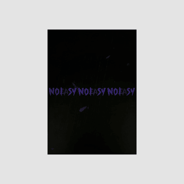 STRAY KIDS 2ND ALBUM 'NOEASY' (STANDARD) B TYPE VERSION COVER