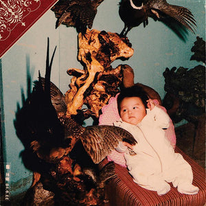 SIMON DOMINIC 1ST ALBUM 'DARKROOM'