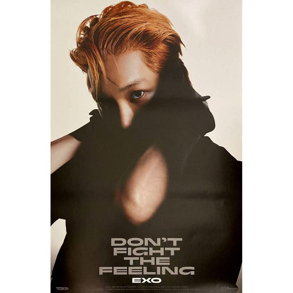 EXO SPECIAL ALBUM 'DON'T FIGHT THE FEELING' (JEWEL CASE) POSTER ONLY