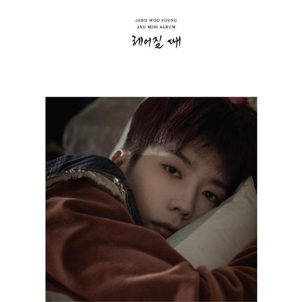 JANG WOO YOUNG (2PM) 2ND MINI ALBUM 'WHEN YOU BREAK UP'